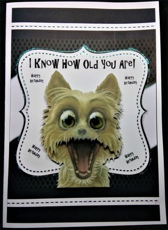 I Know How Old You Are! 8x8 by Margarette Blakeborough