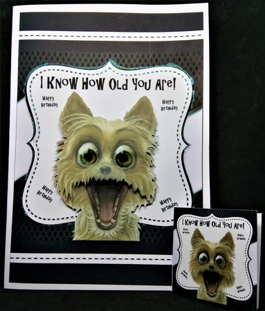 I Know How Old You Are! 8x8 by Margarette Blakeborough