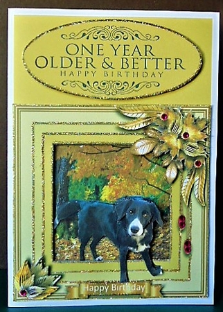 Animals Stepping Out - Walkies by Margarette Blakeborough