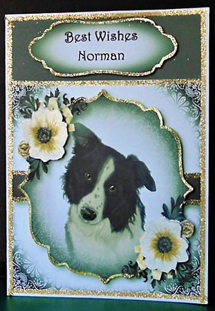 Gorgeous Border Collie & White Annemone by Margarette Blakeborough