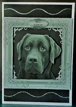 black lab by Margarette Blakeborough