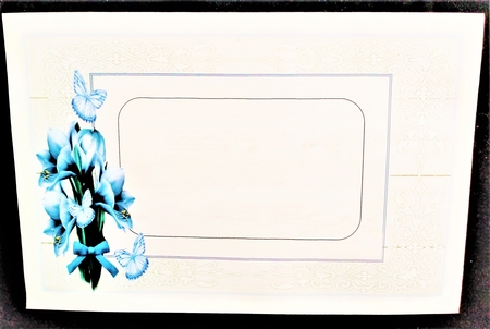 Amazing Amaryllis Mini Kit by Margarette Blakeborough