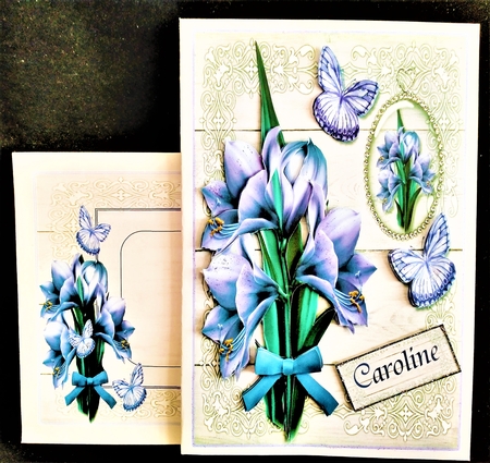 Amazing Amaryllis Mini Kit by Margarette Blakeborough