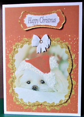 TWINKLE TWINKLE VARIOUS CHRISTMAS SENTIMENTS by Margarette Blakeborough