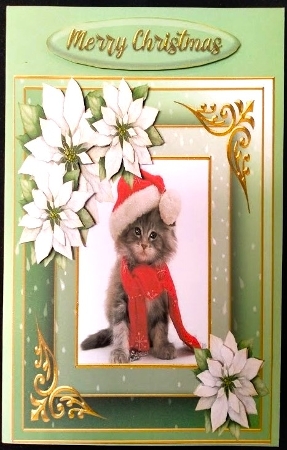 Christmas cat quick card  by Margarette Blakeborough