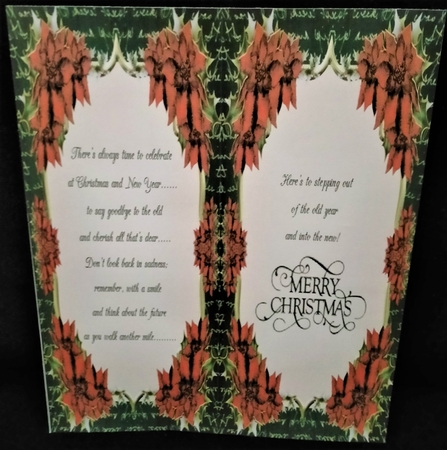 Beautiful Red Christmas Poinsettias by Margarette Blakeborough