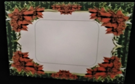 Beautiful Red Christmas Poinsettias by Margarette Blakeborough