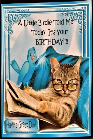 Lazy kitty with blue bird 8x8 by Margarette Blakeborough