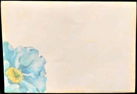 Vintage Blue Floral Stationary Set by Margarette Blakeborough