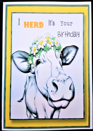 I HERD Its Your Birthday! 8x8 by Margarette Blakeborough