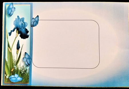 Bearded Iris & Butterflies - Cornflower Blue by Margarette Blakeborough