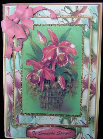 Beautiful Orchids on a Green Mat . by Margarette Blakeborough