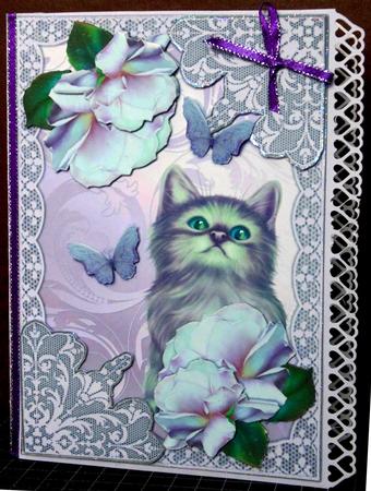 Beautidul Roses in Lace Frame by Margarette Blakeborough