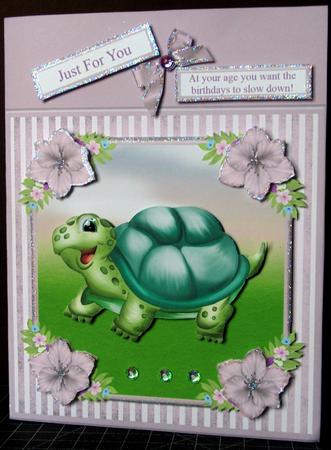 At Your Age You Want the Birthdays to Slow Down! - Tortoise by Margarette Blakeborough