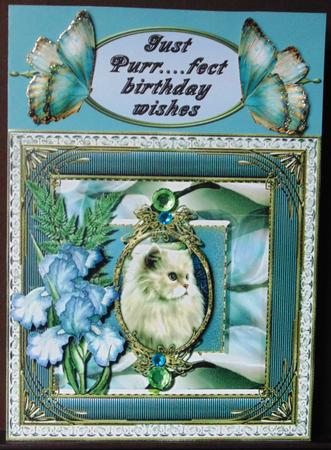 Cat-a-tude Card Topper 2 by Margarette Blakeborough