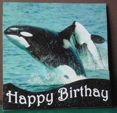 Because We Love Mammals - Whales - the Joy of Leaping Tag+ by Margarette Blakeborough