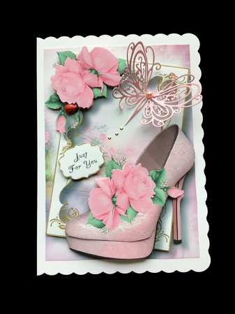 Fabulous Shoes Bumper Kit 3 by Maria Arnold