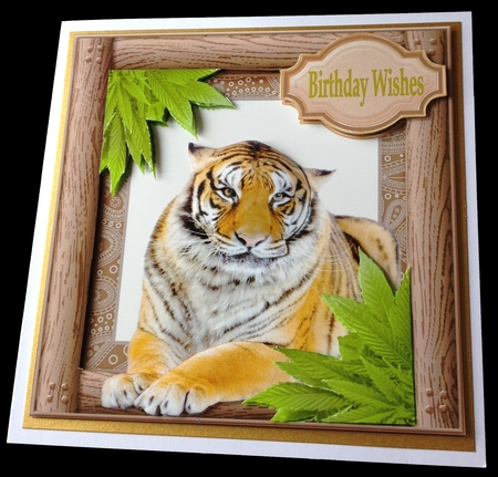 Designer Resource – Paisley Wooden Frames CU4CU by Maria Arnold