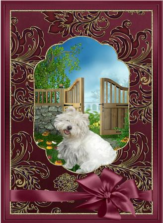 Westie in the Garden by Maria Arnold