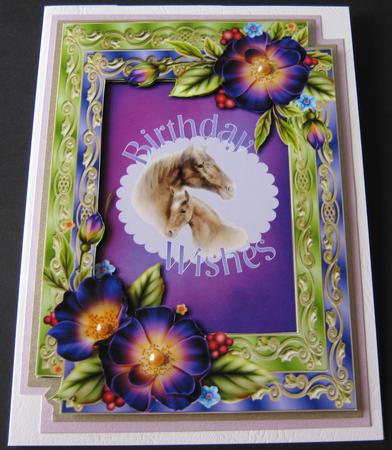 Double Satin Frame & Gorgeous Wild Roses by Maria Arnold