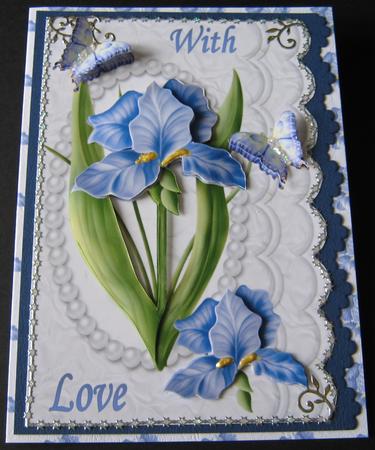 Blue Iris with Butterflies in Pearl Scalloped Frame by Maria Arnold