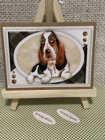 A5 , Gorgeous Dachshund by Marianne Kowalchuk