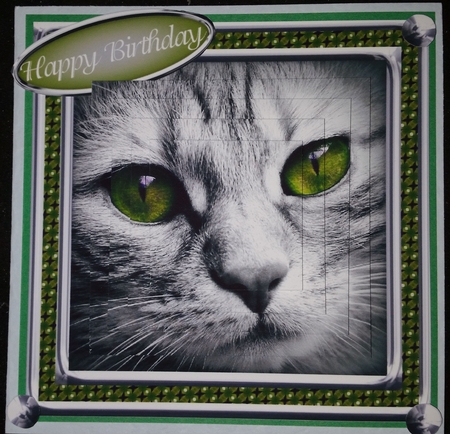 JJ CAT FULL FACE 5X5 6 by Marianne Kowalchuk