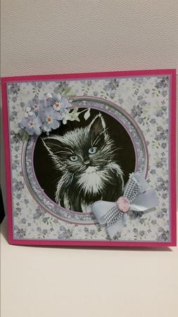 Black and White Kitten with Decoupage by Marianne Kowalchuk