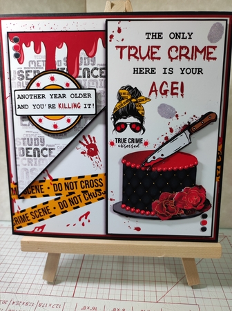 The True Crime Fanatic  by marie nowell