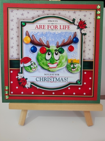 Sprouts are for Life Not Just for Christmas! by marie nowell