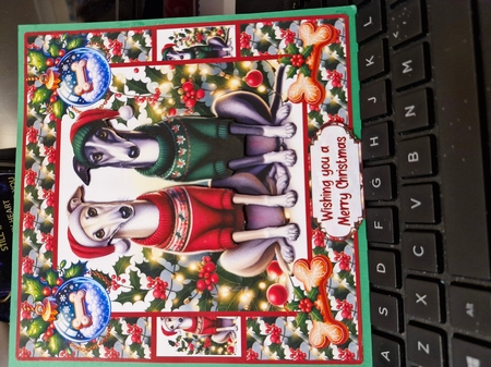 Festive Greyhounds 8x8 Featured Gallery Photo