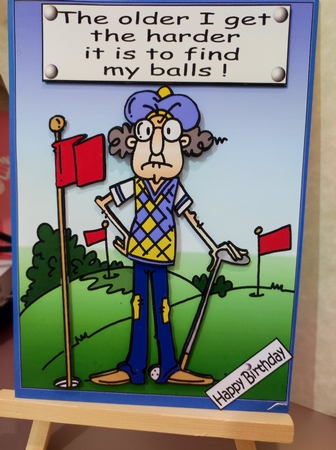 Gus is Looking for His Balls by marie nowell