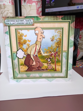 Certified Old Fart-seen It Done It Can't Remember Any of It by marie nowell