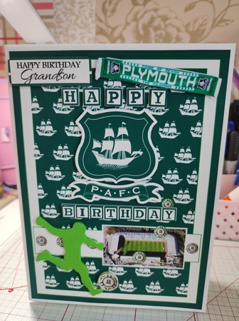Football Plymouth Argyle  by marie nowell
