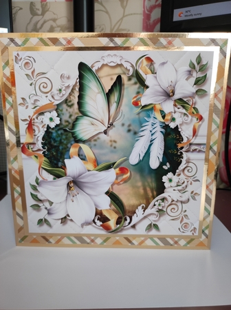Angel Feathers by marie nowell