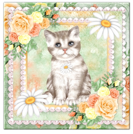 Sweet Little Kitty Png by Marijke Kok