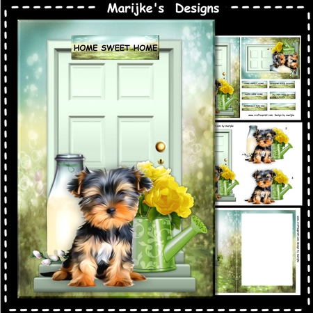 Dog Portraits 5 by Marijke Kok