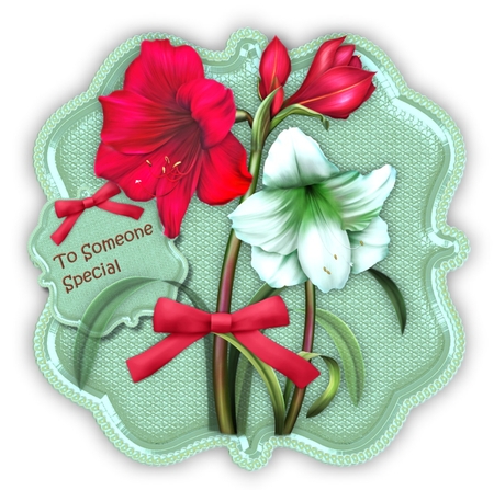 Holiday Amaryllis by Marijke Kok