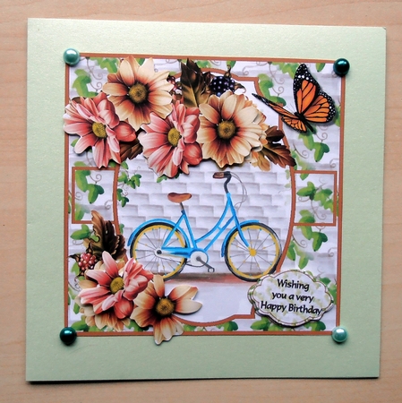 Cycling and flowers by Marijke Kok