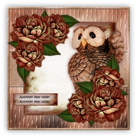 10 fancy frames cu ok by Marijke Kok
