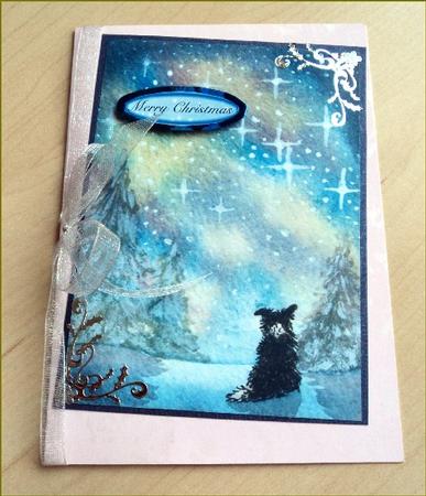 Starry, Starry Night - Border Collie Dog by Marijke Kok