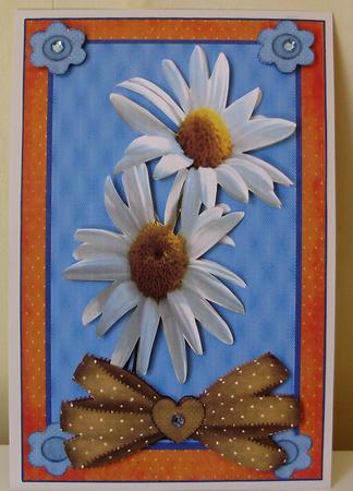 Daisy a Day Happy Birthday Thank You Best Wishes by Marijke Kok