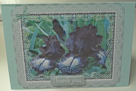 Bearded Iris in Lace Frame by Marijke Kok