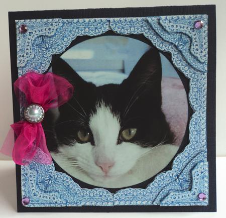 Lizzy a Black & White Cat S by S Lace Framed Corner Stacker by Marijke Kok