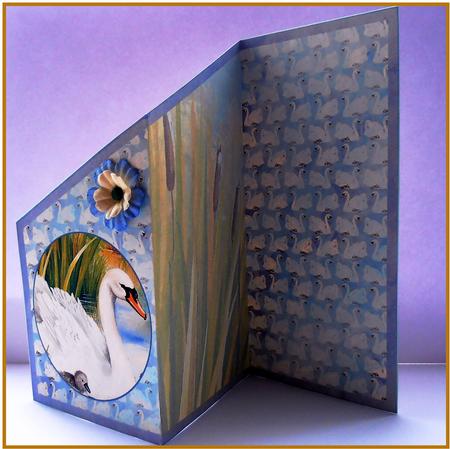 Three Fold Water's Edge "meet the Family" Swans by Marijke Kok