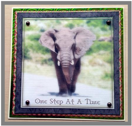 One Step at a Time by Marijke Kok