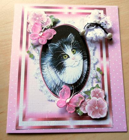 Beautiful Cat in a Oval Lace Frame , Pyramid  by Marijke Kok