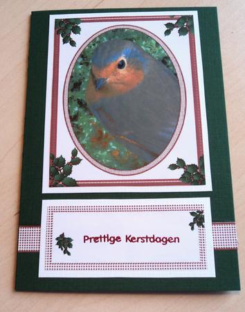 A Robin for Christmas by Marijke Kok