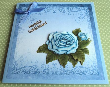 Nature 8in Card Front & Text Plate (blue) by Marijke Kok