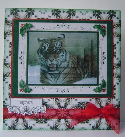 Snow Tiger by Marilyn Clarke